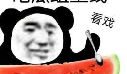 黑料吃瓜我,黑料背后的真相与八卦风云